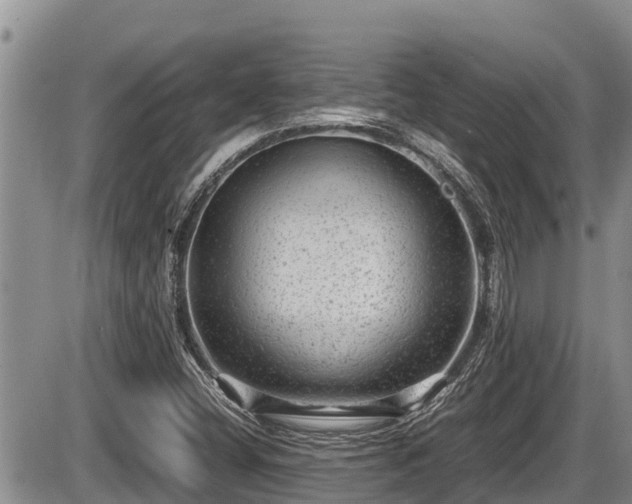 X0000085811404200703231324