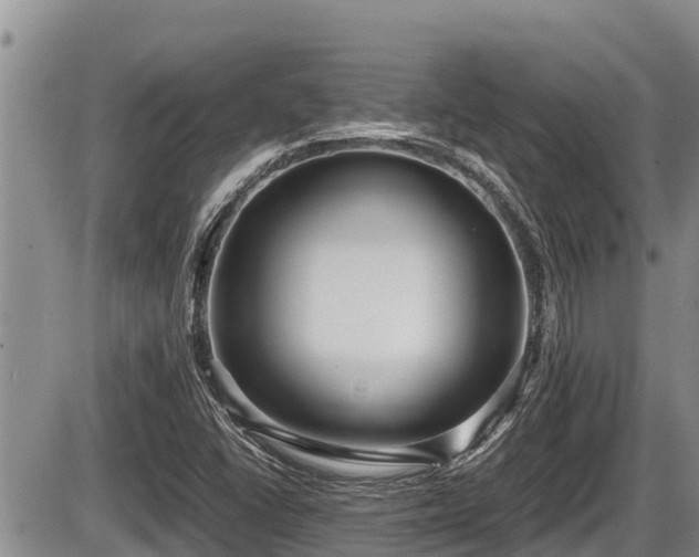 X0000085811406200703231324