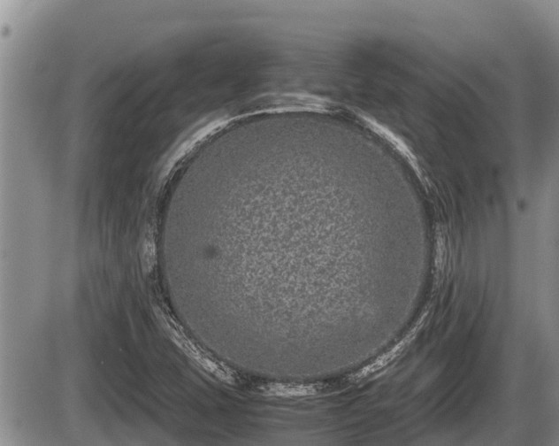 X0000085811407200703231324