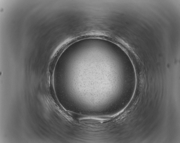 X0000085811408200703231324