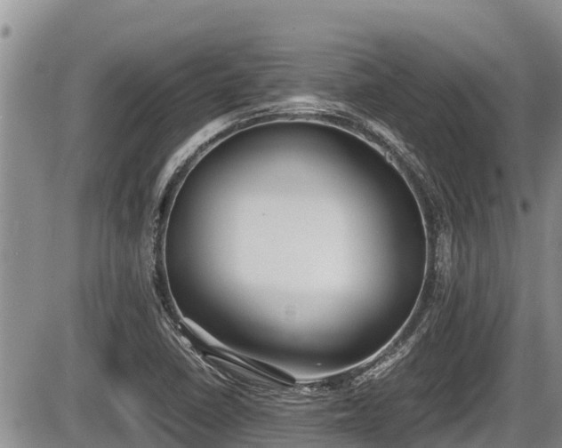 X0000085811410200703231324