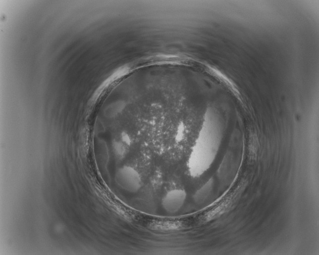 X0000085811411200703231324