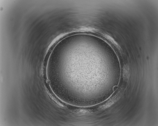 X0000085811412200703231324