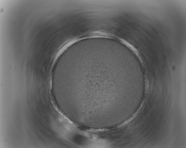 X0000085811415200703231324