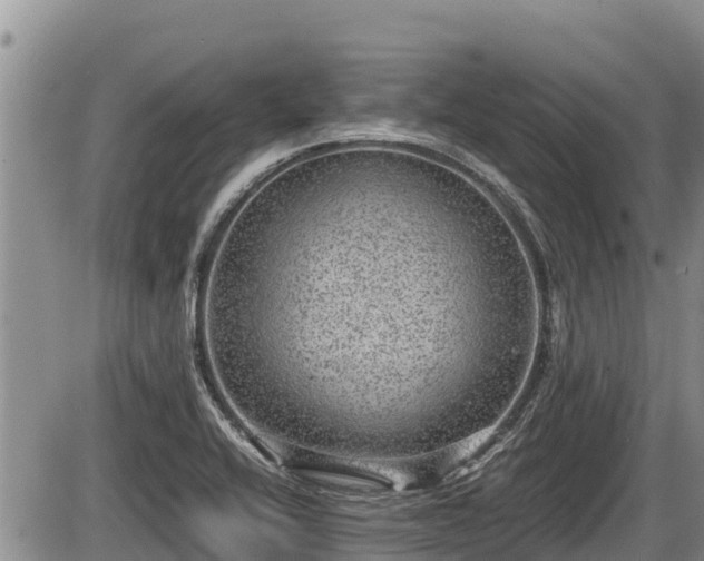 X0000085811416200703231324