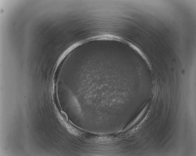 X0000085811418200703231324