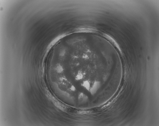 X0000085811419200703231324