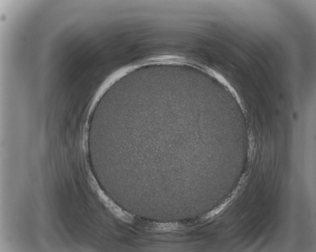 X0000085811421200703231324