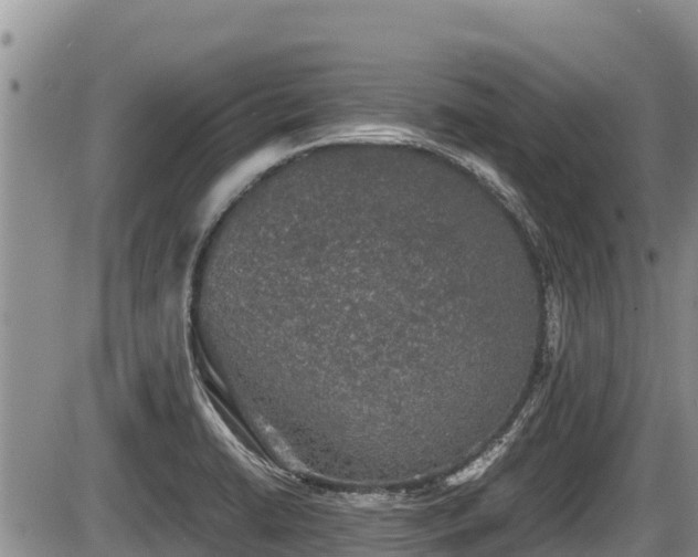 X0000085811422200703231324