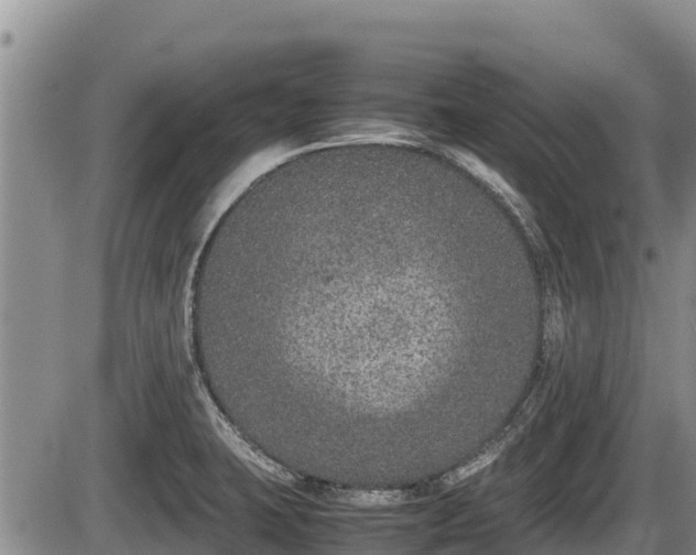 X0000085811423200703231324