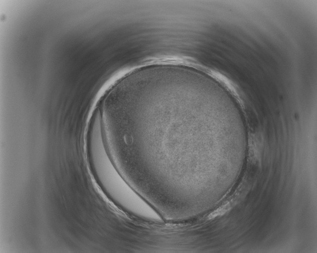 X0000085811424200703231324