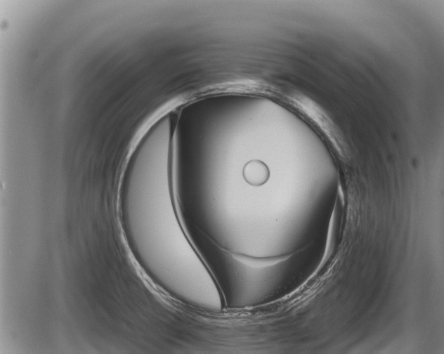 X0000085811426200703231324