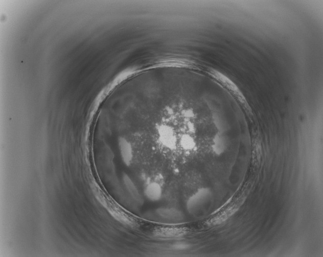 X0000085811427200703231324