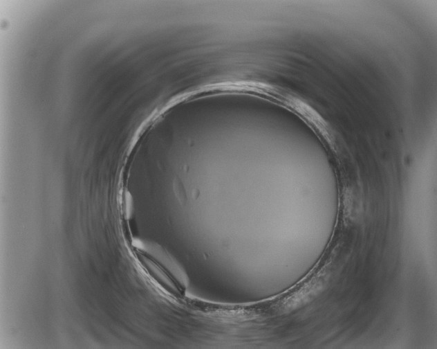 X0000085811428200703231324