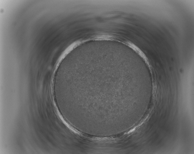 X0000085811429200703231324