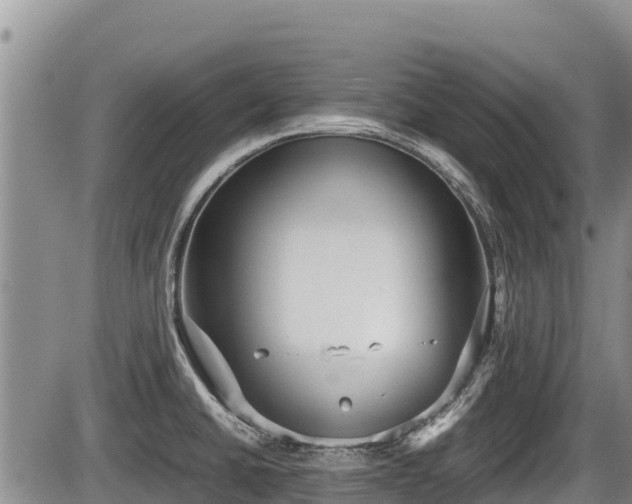 X0000085811430200703231324