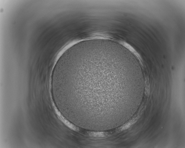 X0000085811431200703231324