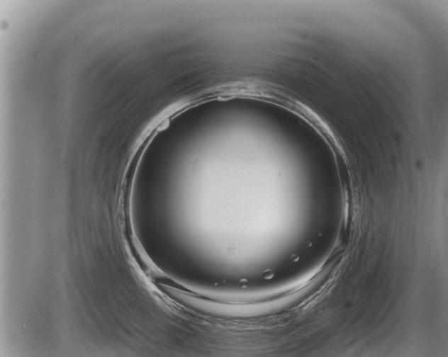 X0000085811434200703231324