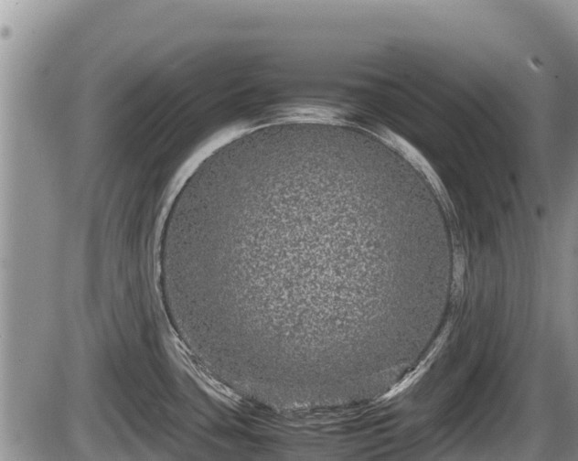 X0000085811435200703231324