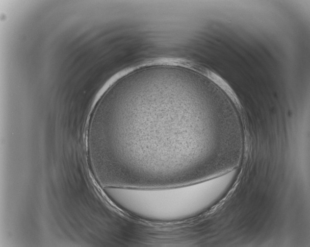 X0000085811436200703231324