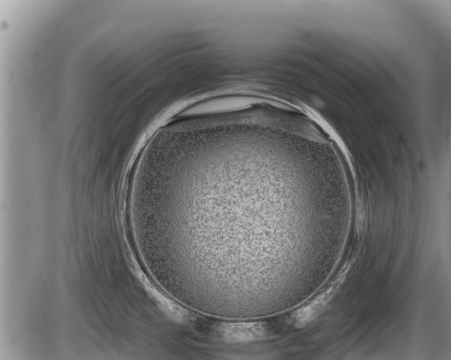 X0000085811437200703231324