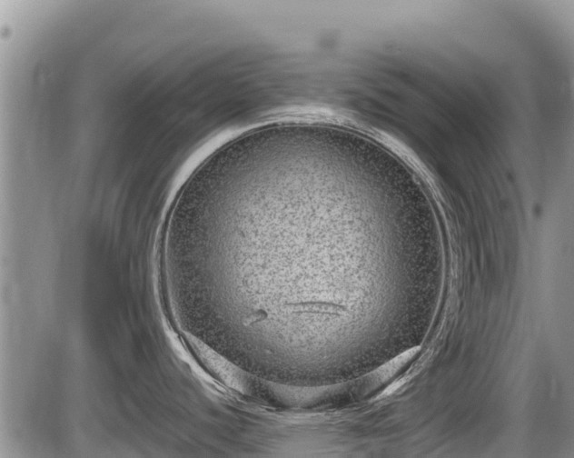 X0000085811440200703231324