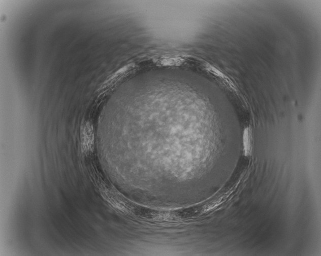 X0000085811443200703231323