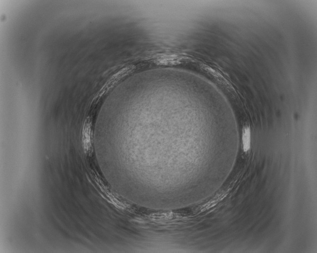 X0000085811444200703231323