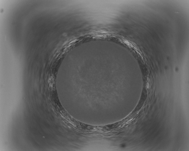 X0000085811445200703231323