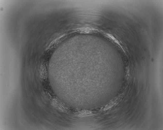 X0000085811446200703231323