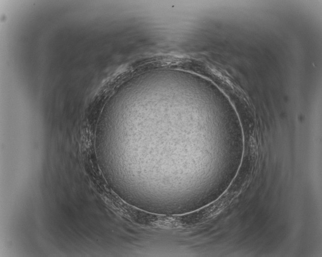 X0000085811447200703231323