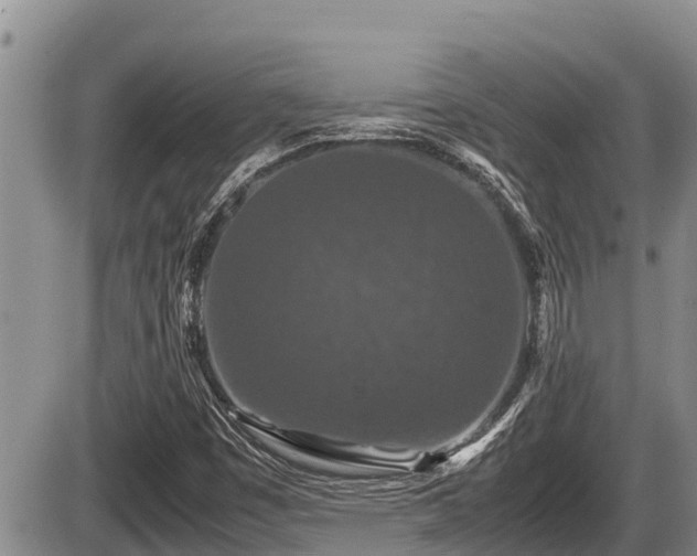 X0000085811449200703231323