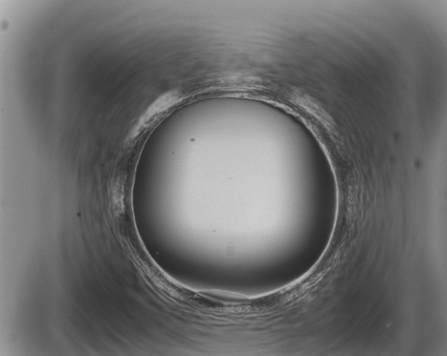 X0000085811451200703231323