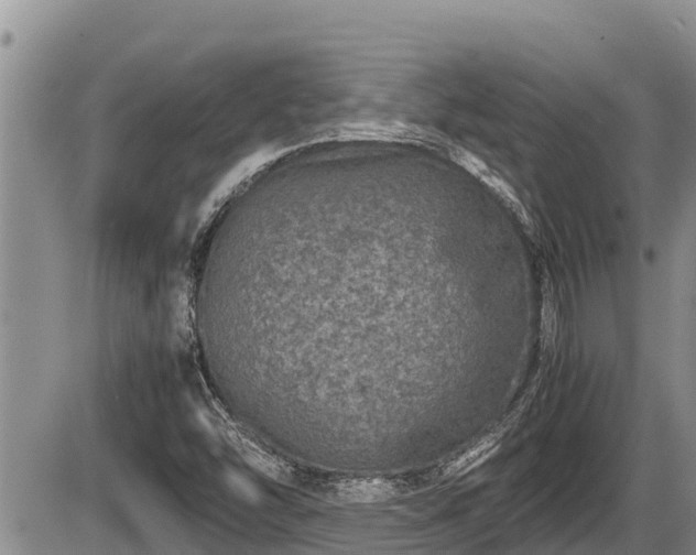 X0000085811454200703231323