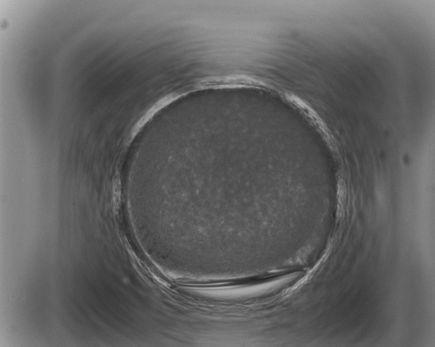 X0000085811457200703231323