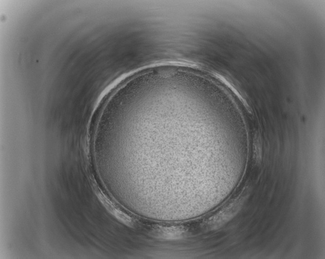 X0000085811460200703231323