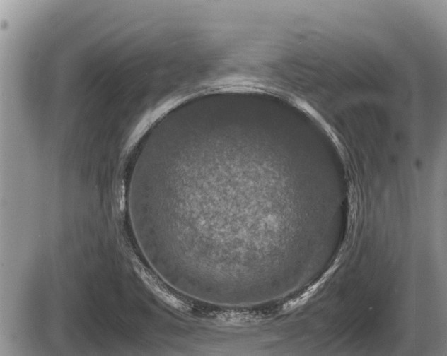 X0000085811461200703231323