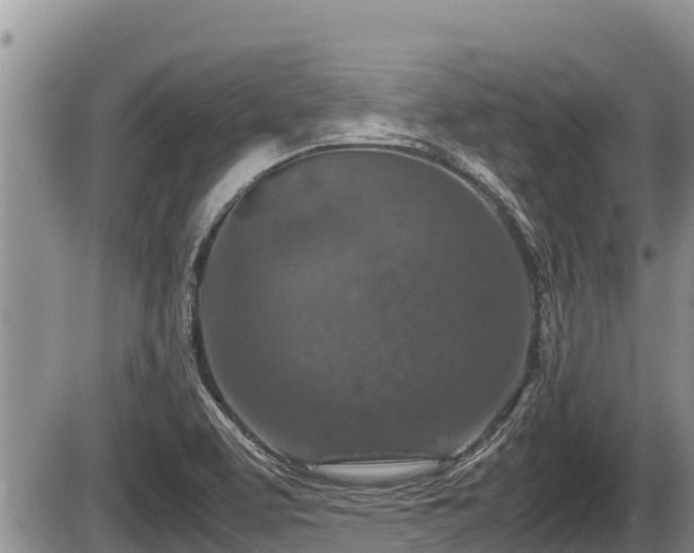 X0000085811463200703231323