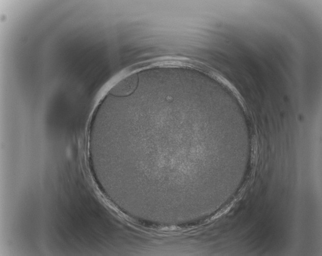 X0000085811467200703231323