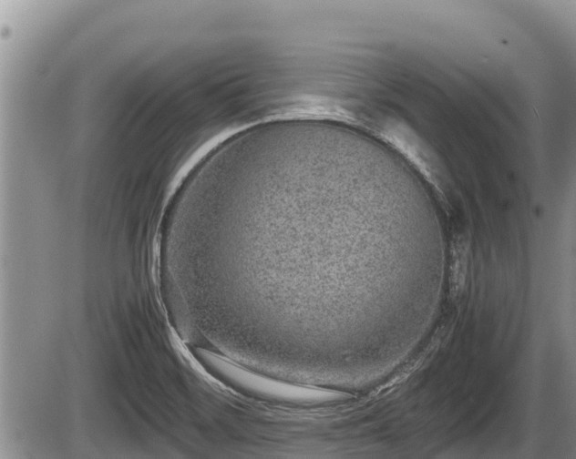 X0000085811468200703231323