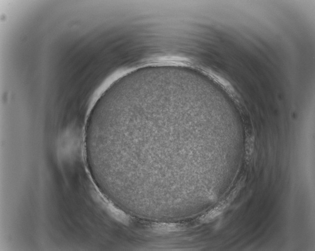 X0000085811470200703231323