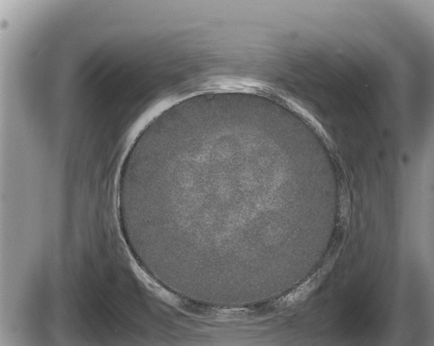 X0000085811471200703231323