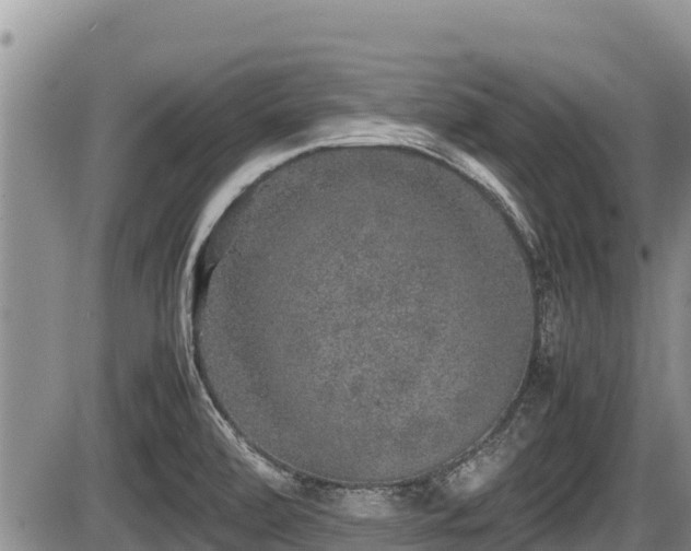 X0000085811472200703231323