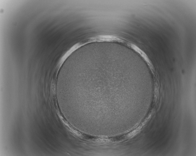 X0000085811473200703231323