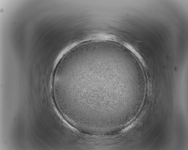 X0000085811477200703231323