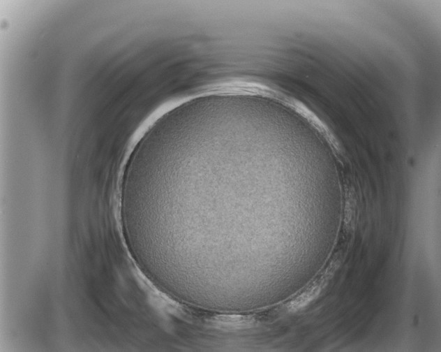 X0000085811478200703231323