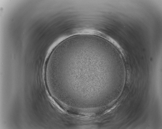 X0000085811480200703231323