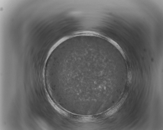 X0000085811482200703231323