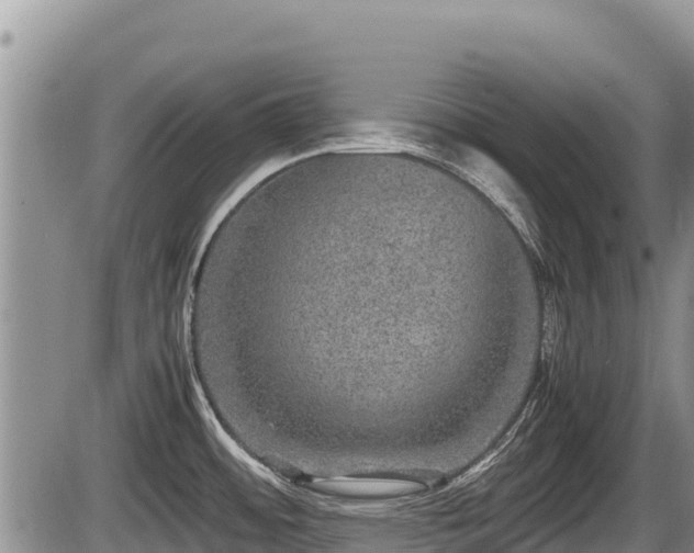 X0000085811484200703231323