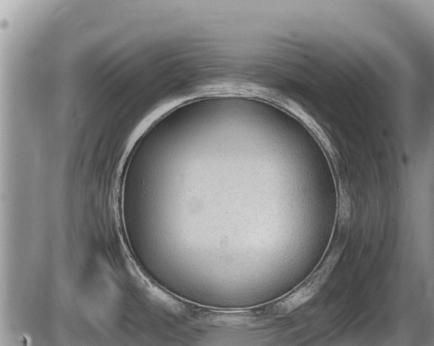 X0000085811486200703231323